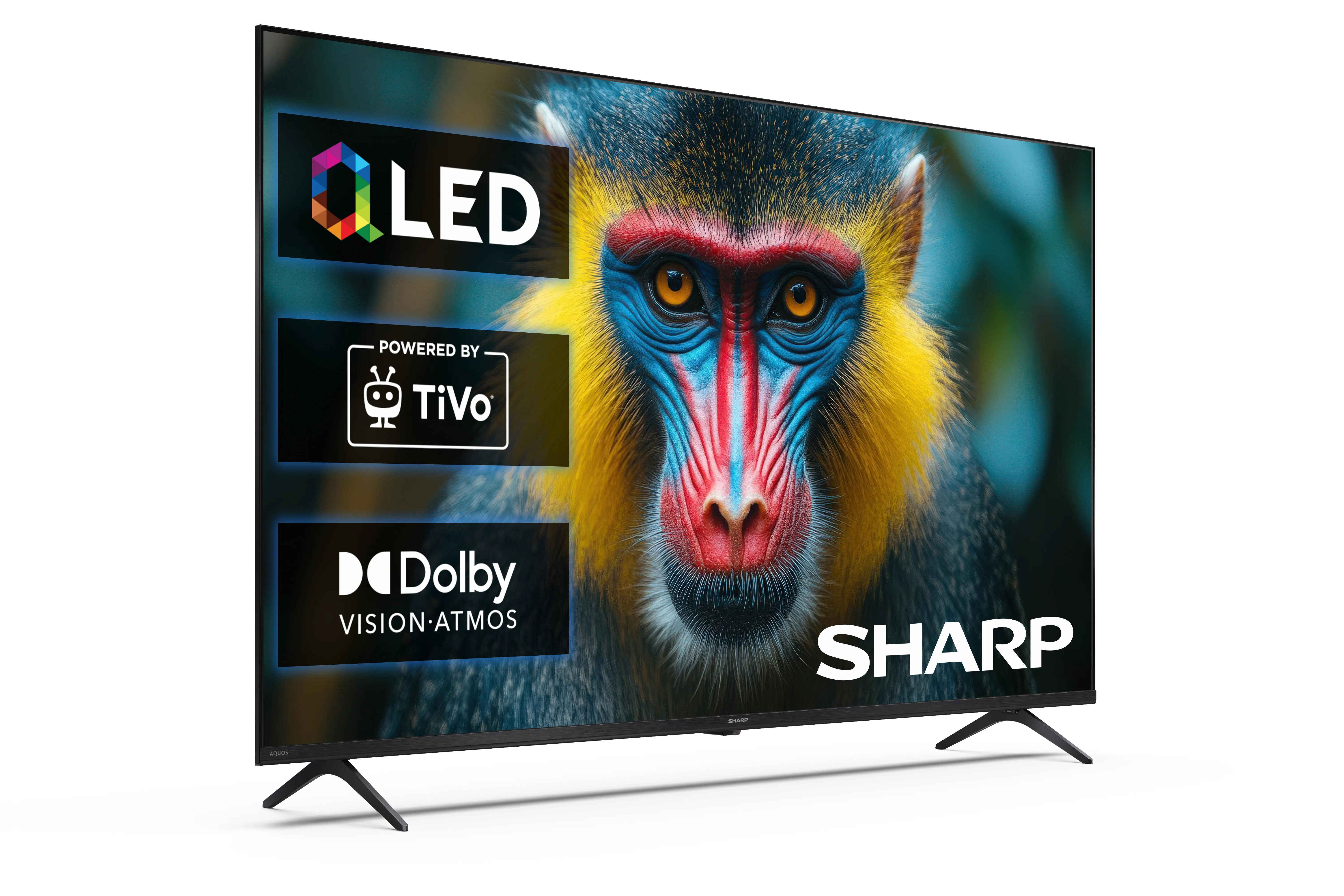 фото Телевизор Sharp 55HM5745E 2