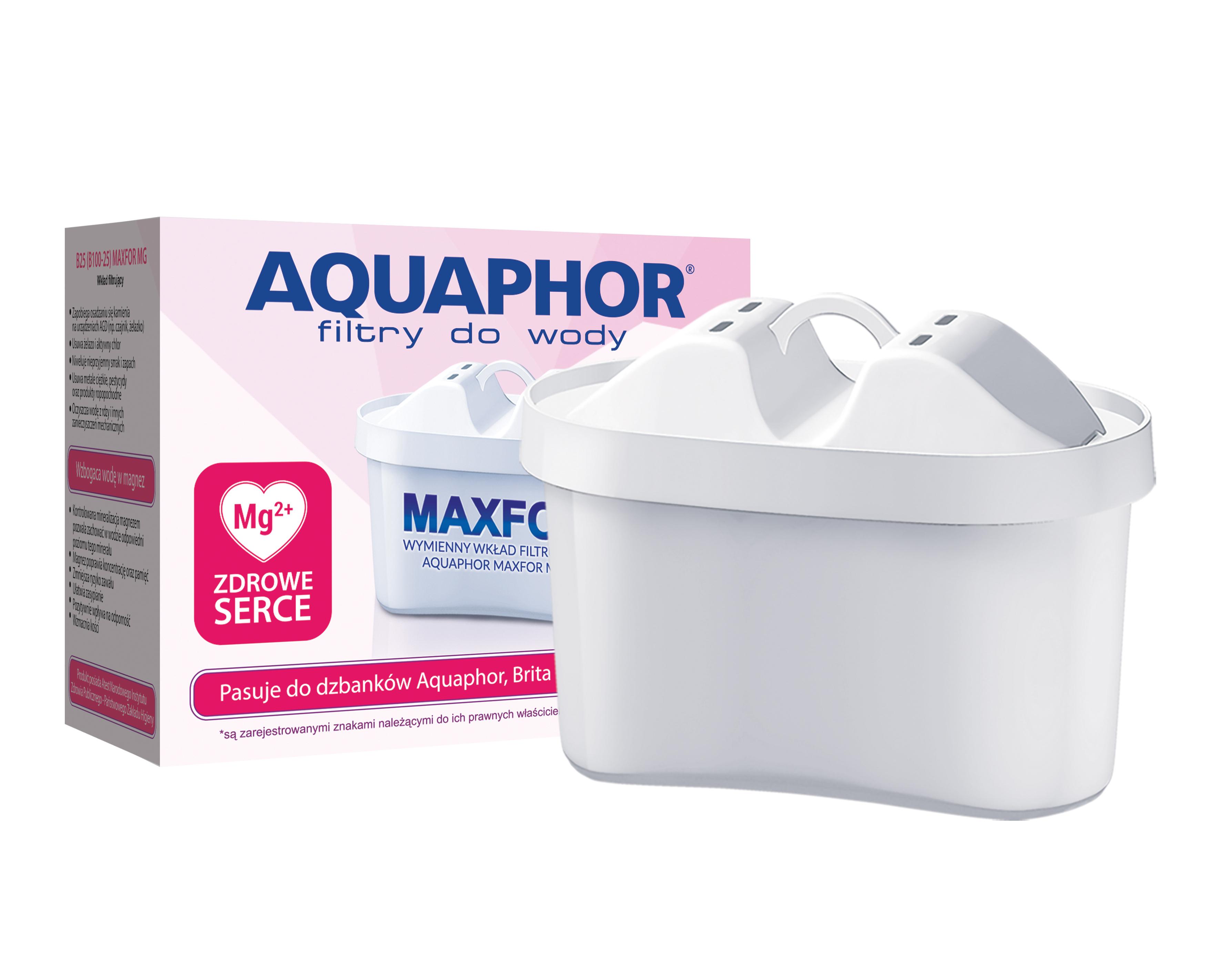 Wkład filtrujący Aquaphor B100-25 Maxfor magnezowy - 1szt.
