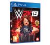 WWE 2K19 PS4 / PS5