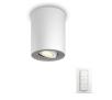 Oświetlenie punktowe Philips Hue White Ambiance Pillar (biały) + regulator przyciemniania