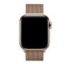Apple Pasek Milanese Loop Apple Watch 40mm (złoty)