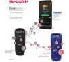 Głośnik Bluetooth Sharp GX-BT280 20W Czarny