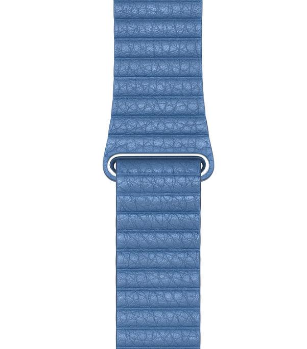 Pasek Apple Opaska skórzana w kolorze chabrowym do koperty 42/44 mm – R