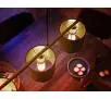 Żarówka LED Philips Hue White E14 2 szt.