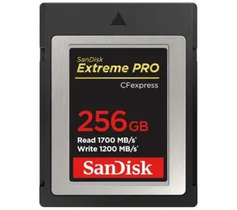 Karta pamięci SANDISK Exterme Pro Type B CFexpress 256GB (1700/1200)