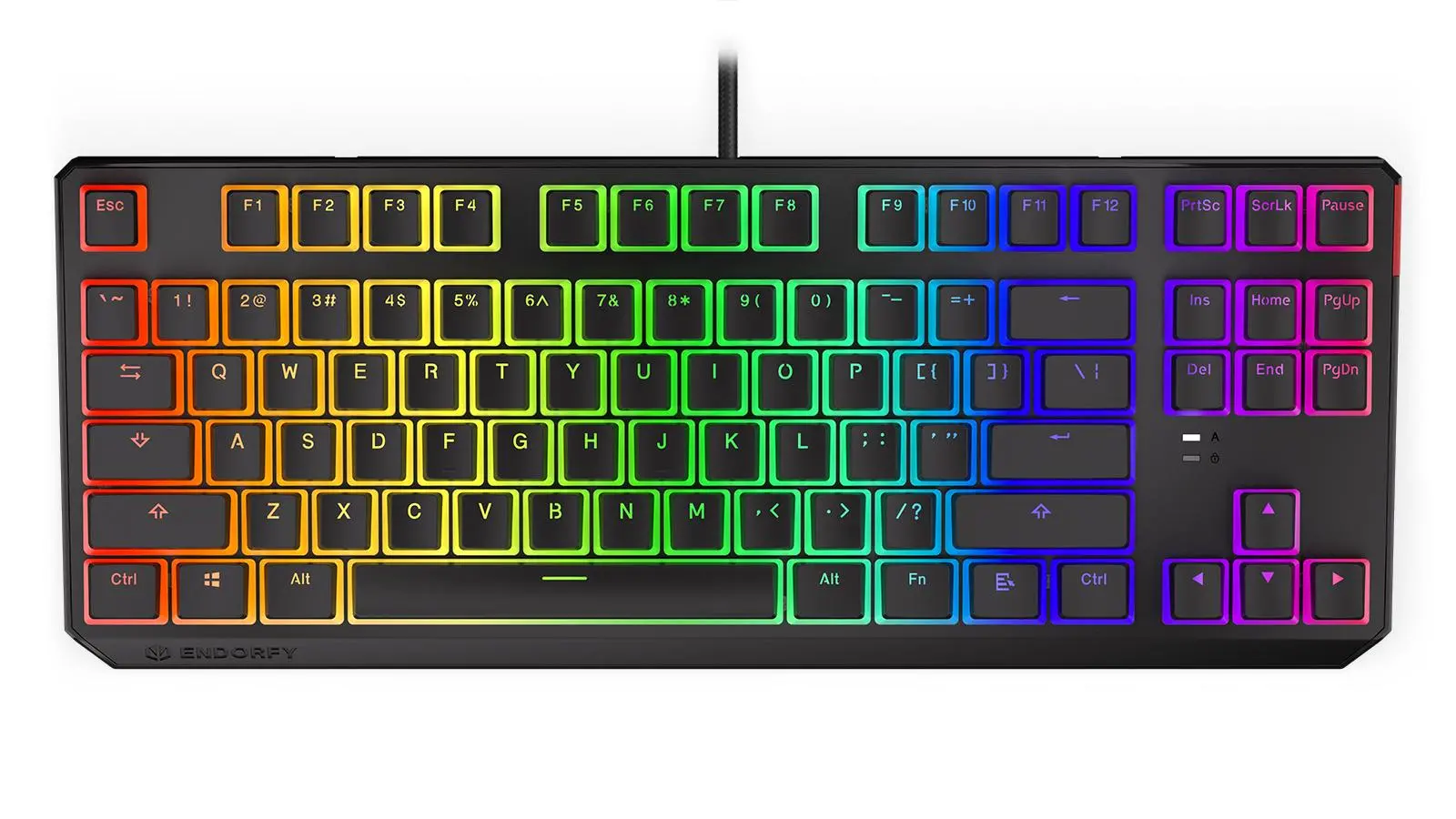 Klawiatura mechaniczna Endorfy Thock TKL Pudding Blue Kailh Blue RGB Czarny