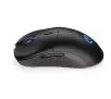 Myszka gamingowa Endorfy GEM Plus Wireless Czarny