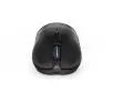 Myszka gamingowa Endorfy GEM Plus Wireless Czarny