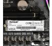 Dysk Patriot P310 480GB PCIe Gen3 x4