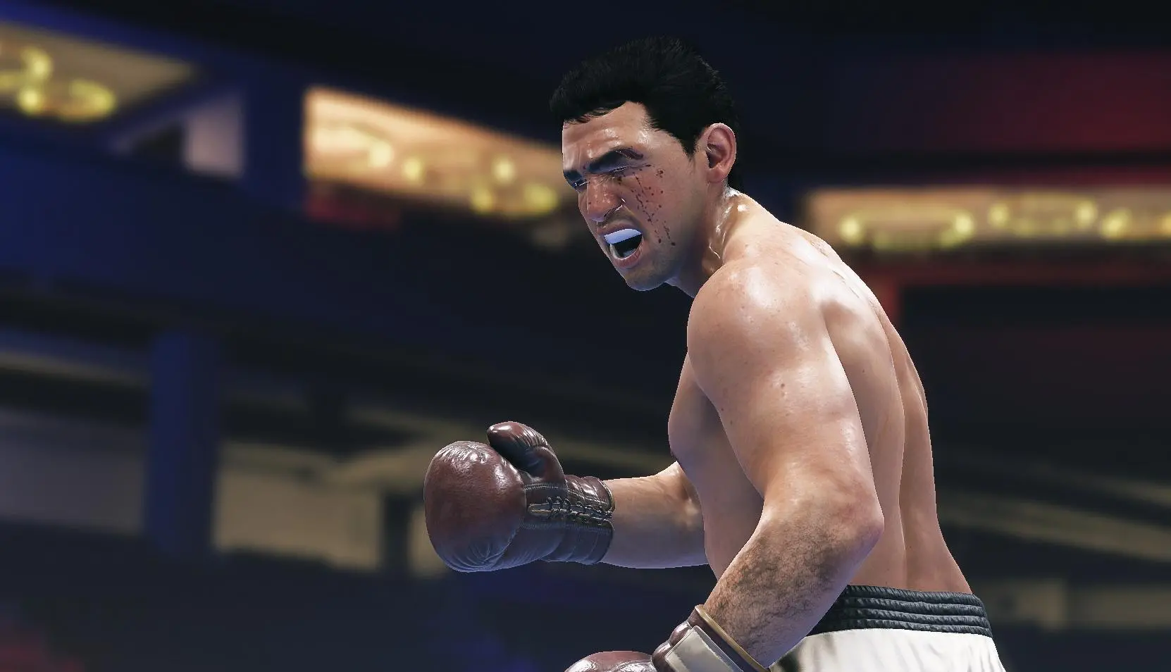 Undisputed Gra na PS5