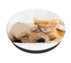 Uchwyt na telefon Popsockets Cat & Dog