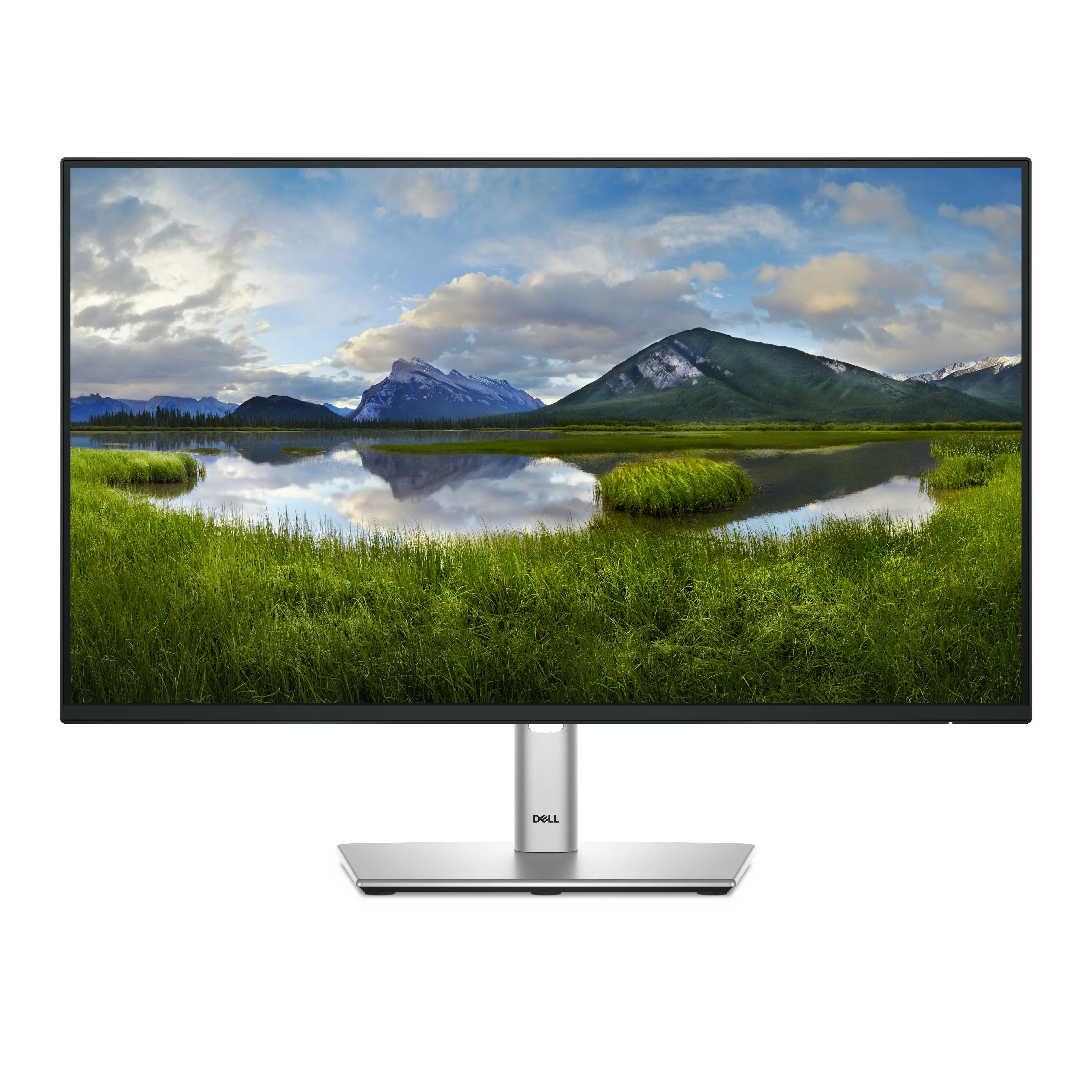 Monitor Dell P2425HE 23,8" Full HD IPS 100Hz 5ms