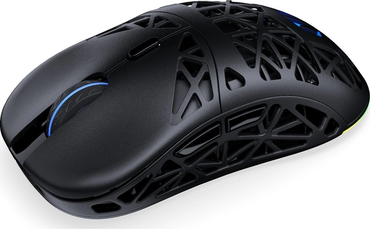 Myszka gamingowa Endorfy LIV Wireless Czarny
