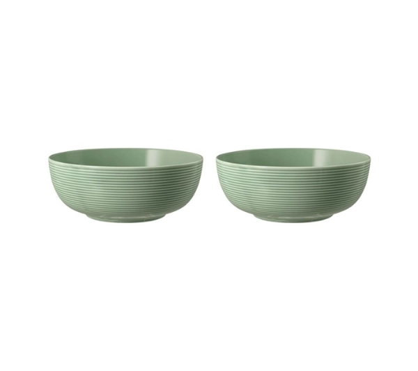 Seltmann Beat Glaze 001.757383-Z 2 elementy 20cm