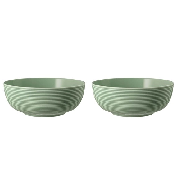 Seltmann Beat Glaze 001.757383-Z 2 elementy 20cm