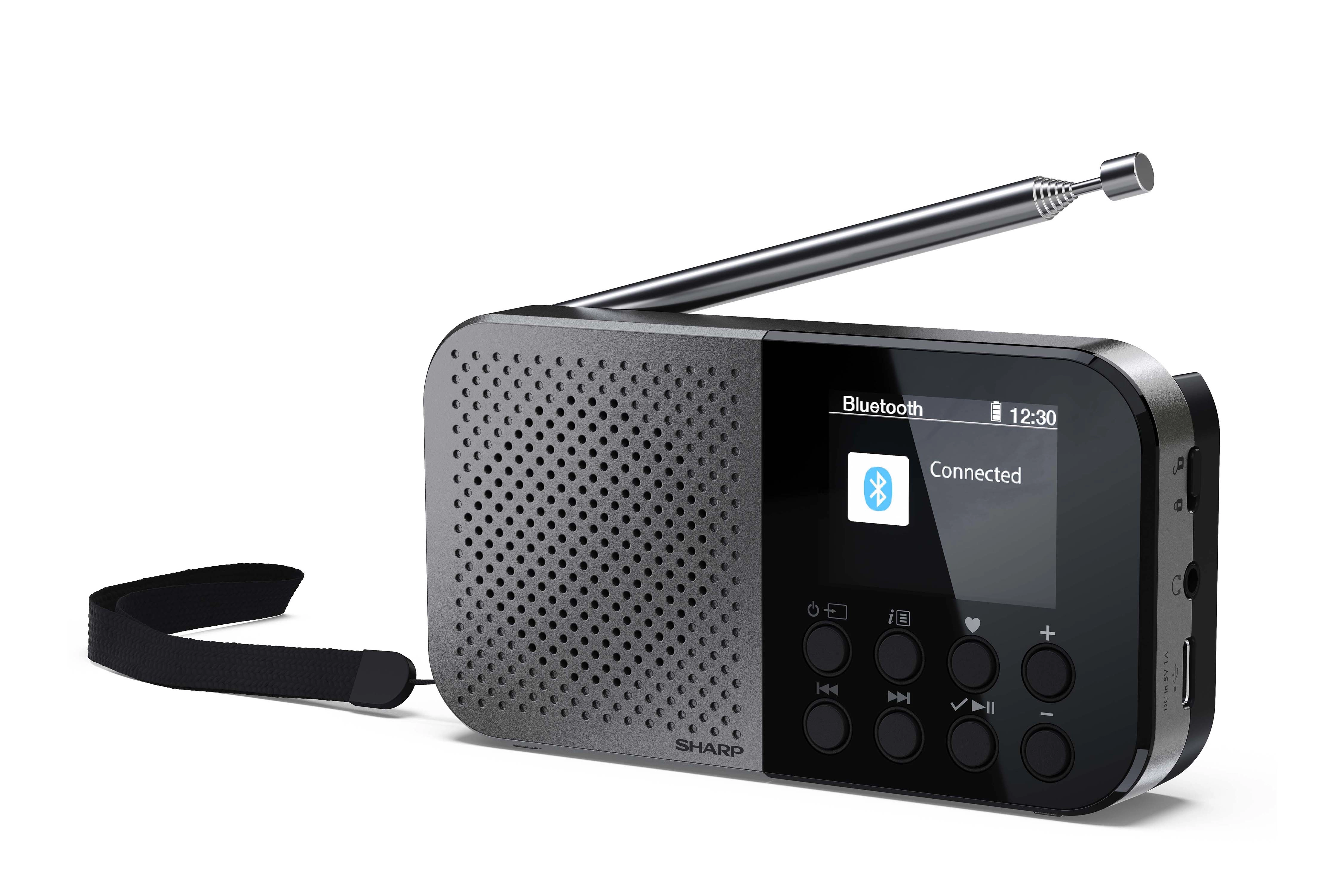 Radioodbiornik Sharp Osaka DR-P520(GY) Radio FM DAB+ Bluetooth Szary