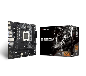 Płyta główna Biostar B650MT