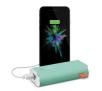 Powerbank Fresh 'n Rebel 6000 mAh Peppermint