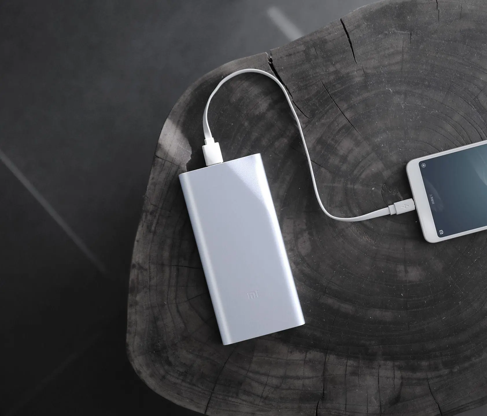 Powerbank Xiaomi Mi Power Bank 2S 10000mAh 14,4W Srebrny