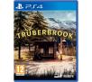 Truberbrook - Gra na PS4 (Kompatybilna z PS5)