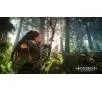 Horizon Zero Dawn Edycja Kompletna PlayStation Hits Gra na PS4 (Kompatybilna z PS5)