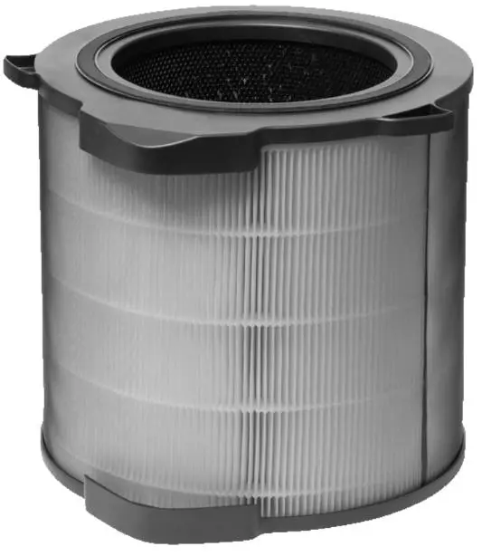 Filtr do oczyszczacza Electrolux EFDBRZ4