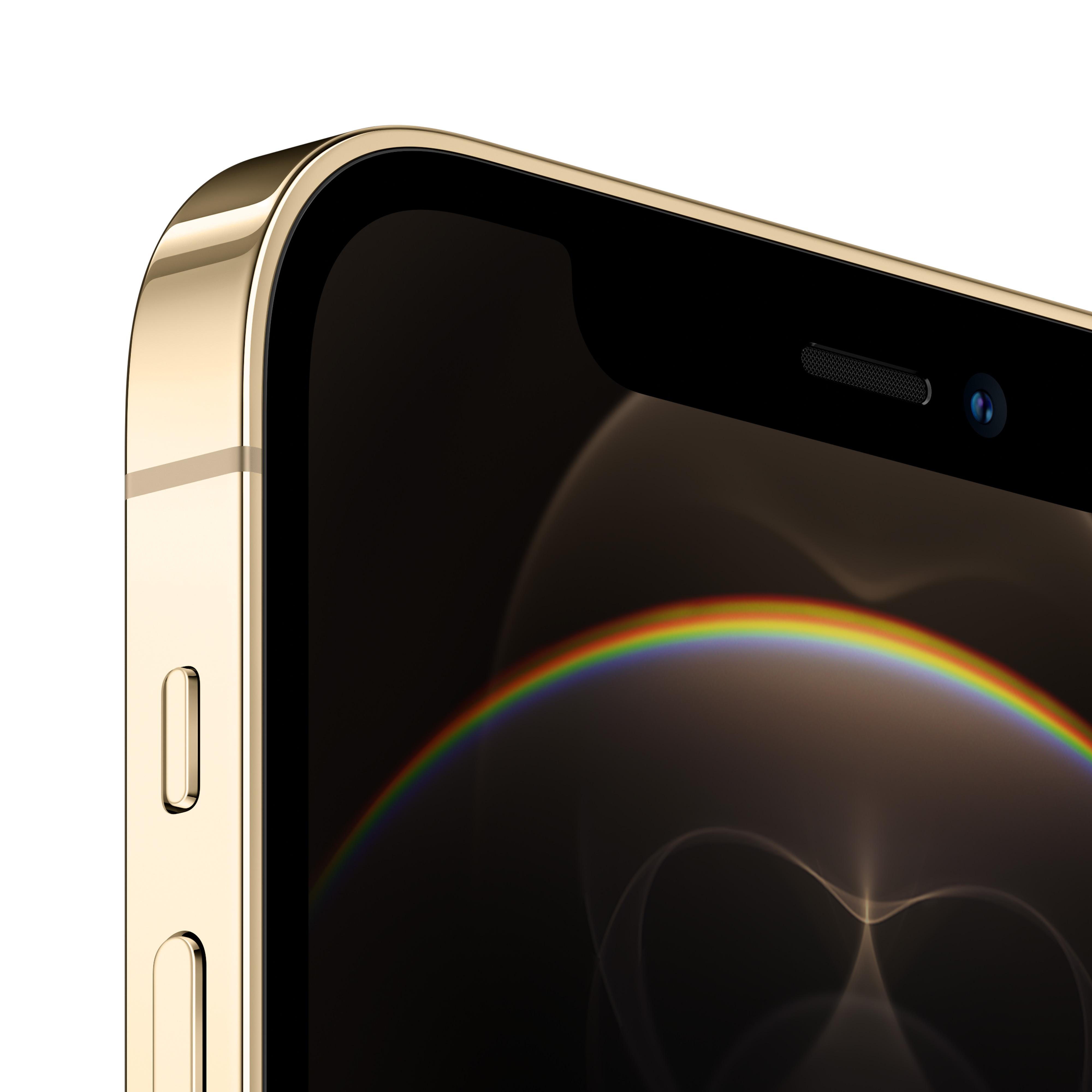 Apple iPhone 12‌ Pro Max 256GB (złoty), Smartfon - cena i opinie