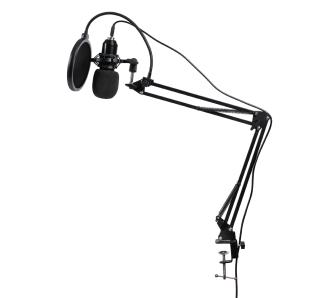 Mikrofon Reinston EMIK01 Przewodowy Pojemnościowy Czarny
