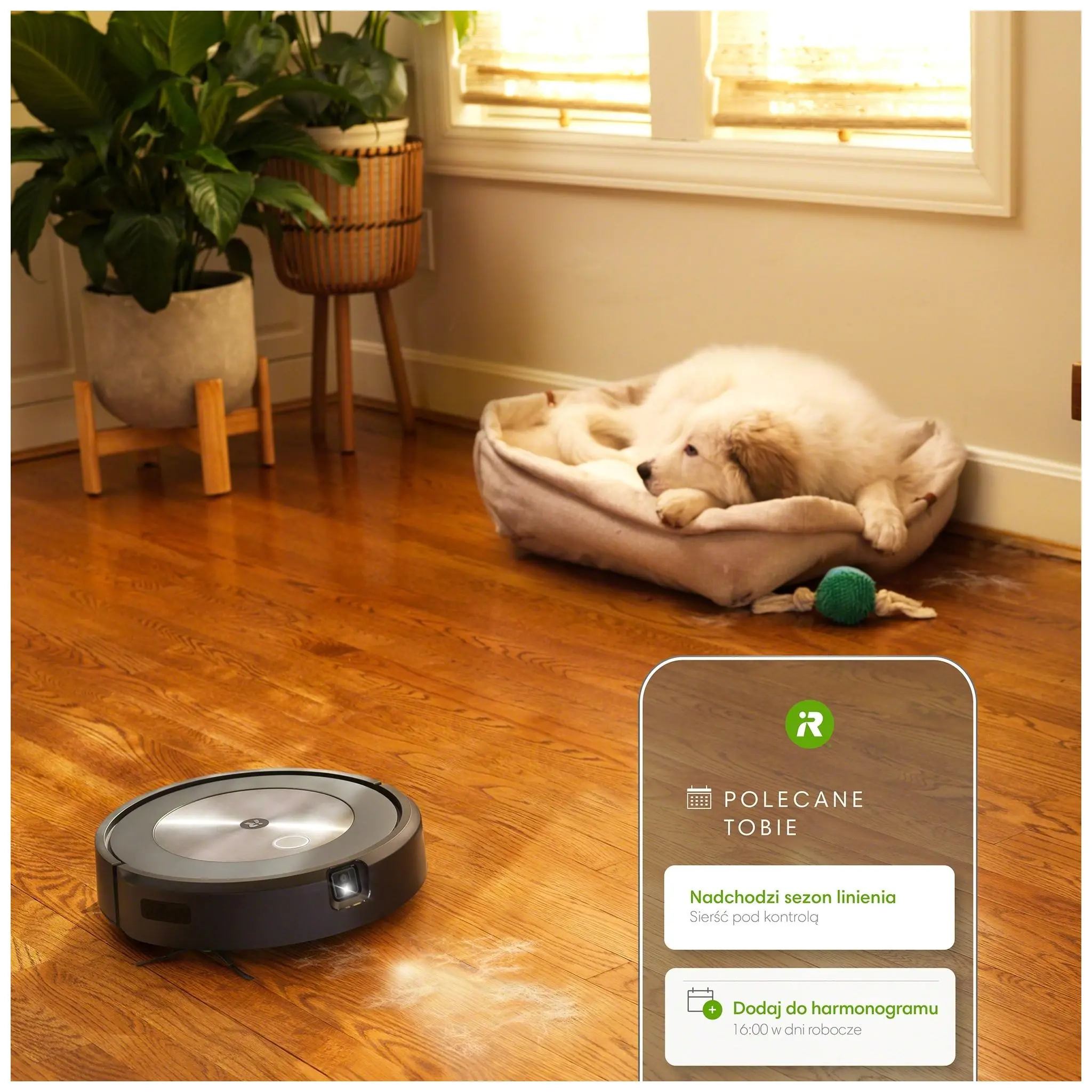Robot sprzątający iRobot Roomba J7+ Stacja oczyszczająca Tworzenie mapy pomieszczenia 68dB