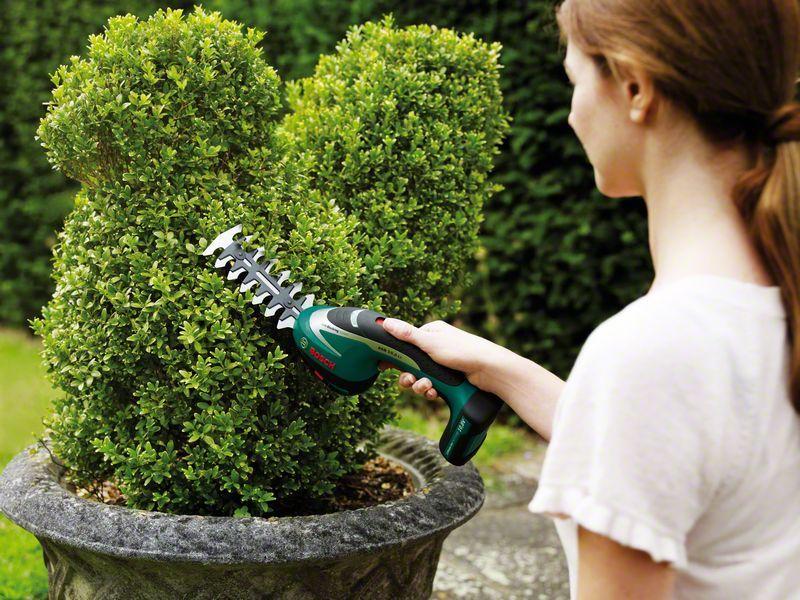 Bosch ASB 10,8 Li