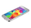 Samsung Galaxy Core Prime VE (SM-G361) (srebrny)
