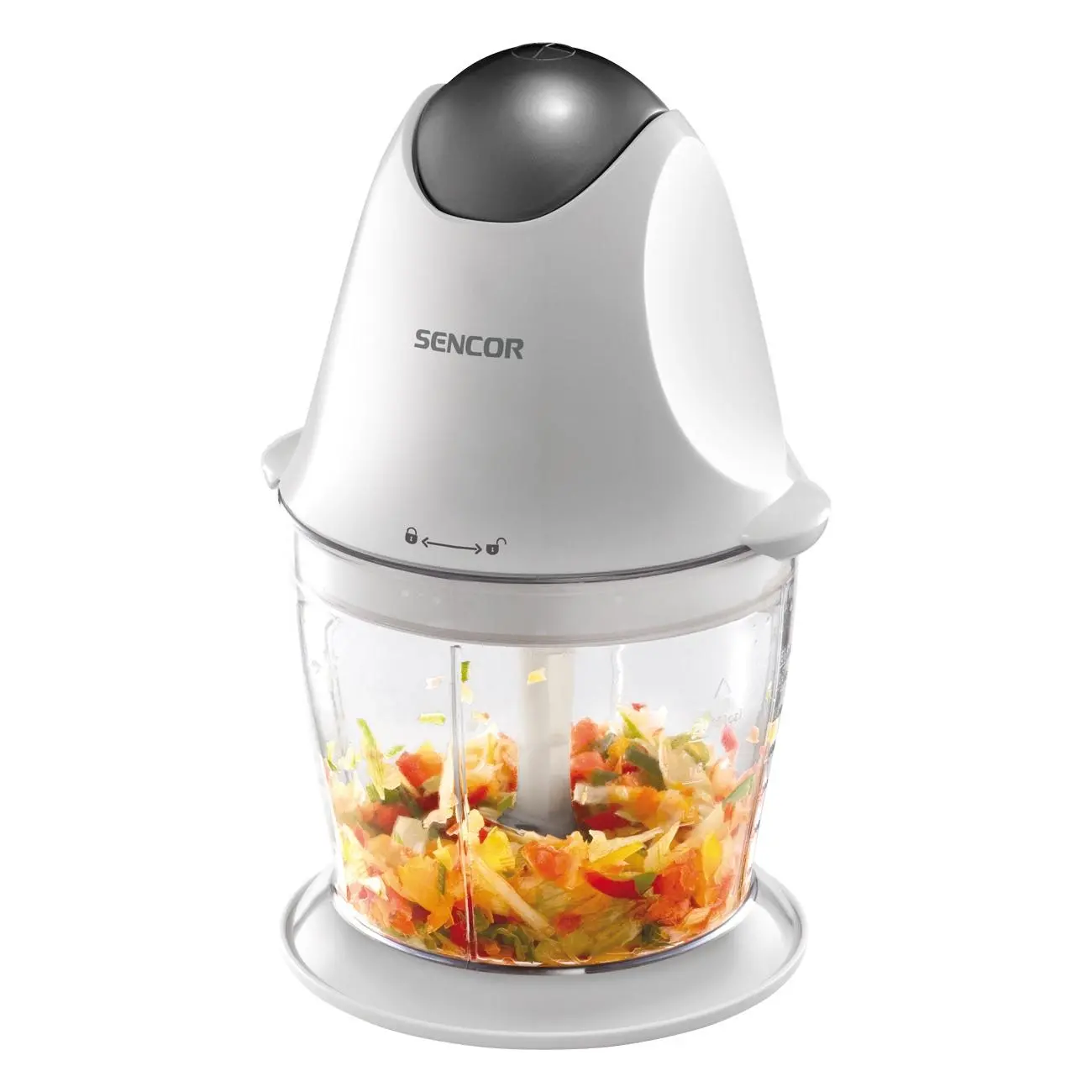 Sencor SHB 4310 300W
