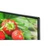 Telewizor Toshiba 55QA7D63DG 55"  QLED Android TV Dolby Vision Dolby Atmos DTS-X 60Hz DVB-T2