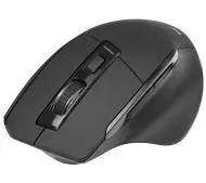Tracer Cozy RF 2.4 GHz Czarny
