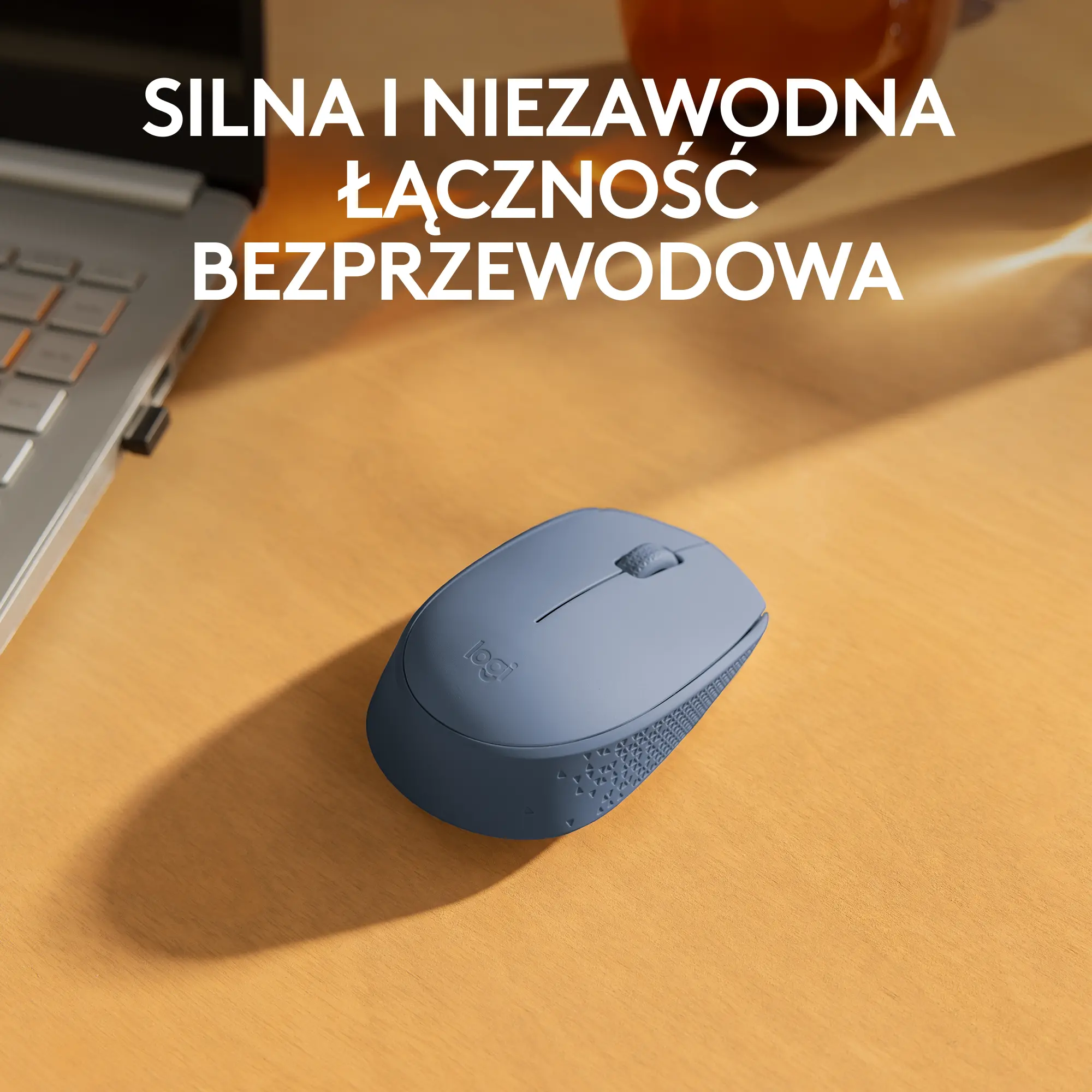 Myszka Logitech M171 Jasnoniebieski