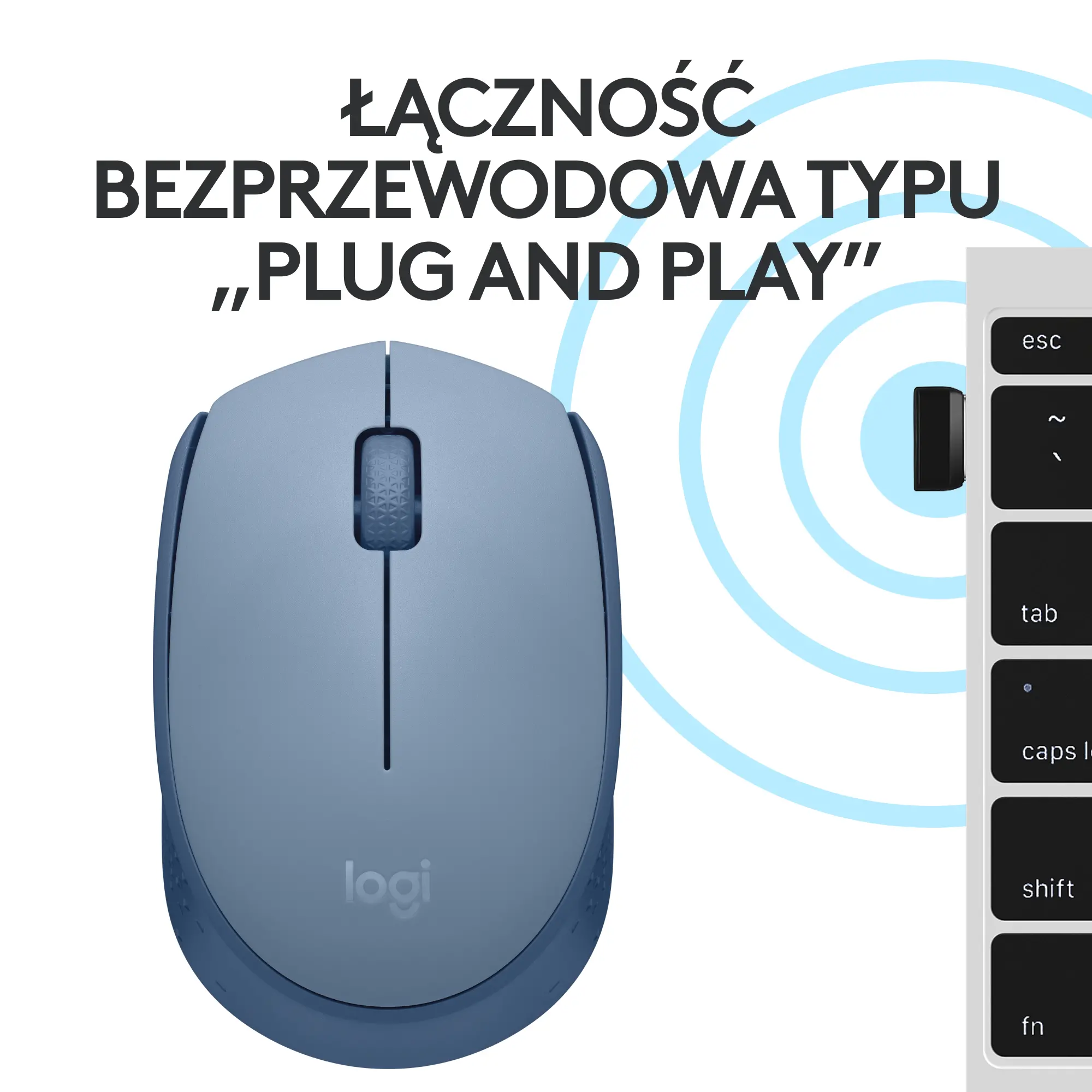 Myszka Logitech M171 Jasnoniebieski