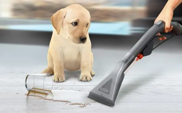 Odkurzacz Thomas Aqua FleckWasher 1400W Ssawka do czyszczenia tapicerki i tekstyliów