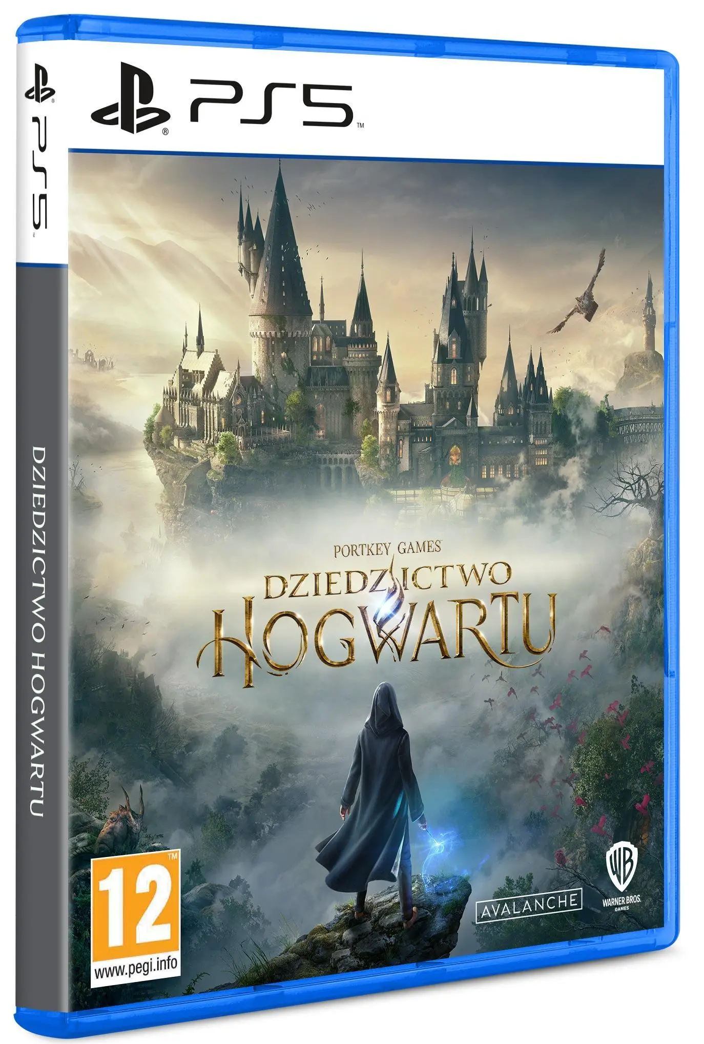 Konsola Sony PlayStation 5 Slim D Chassis (PS5) 1TB z napędem + Dziedzictwo Hogwartu (Hogwarts Legacy)