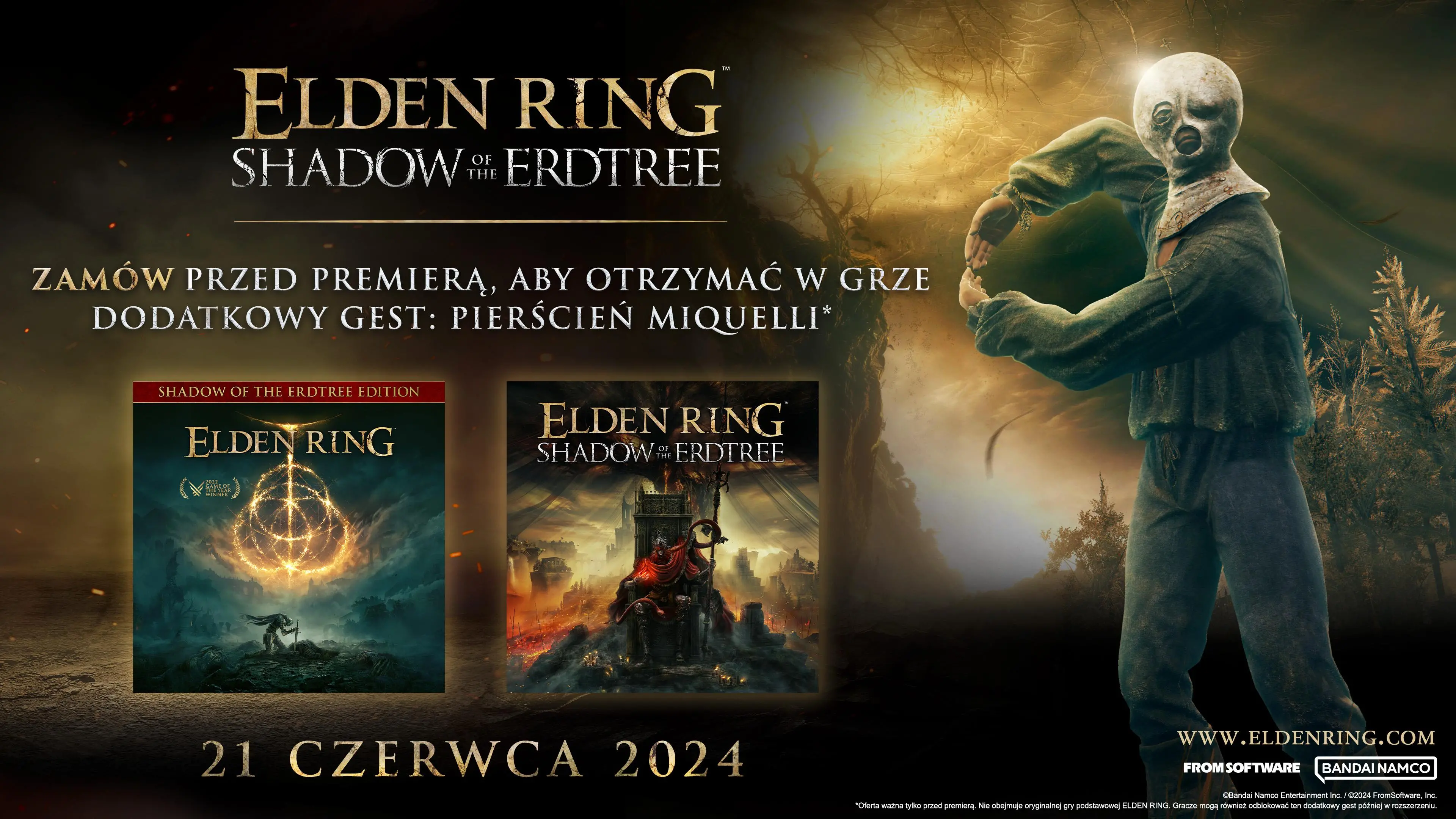 Elden Ring Shadow of the Erdtree Edycja Kolekcjonerska Gra na Xbox Series X