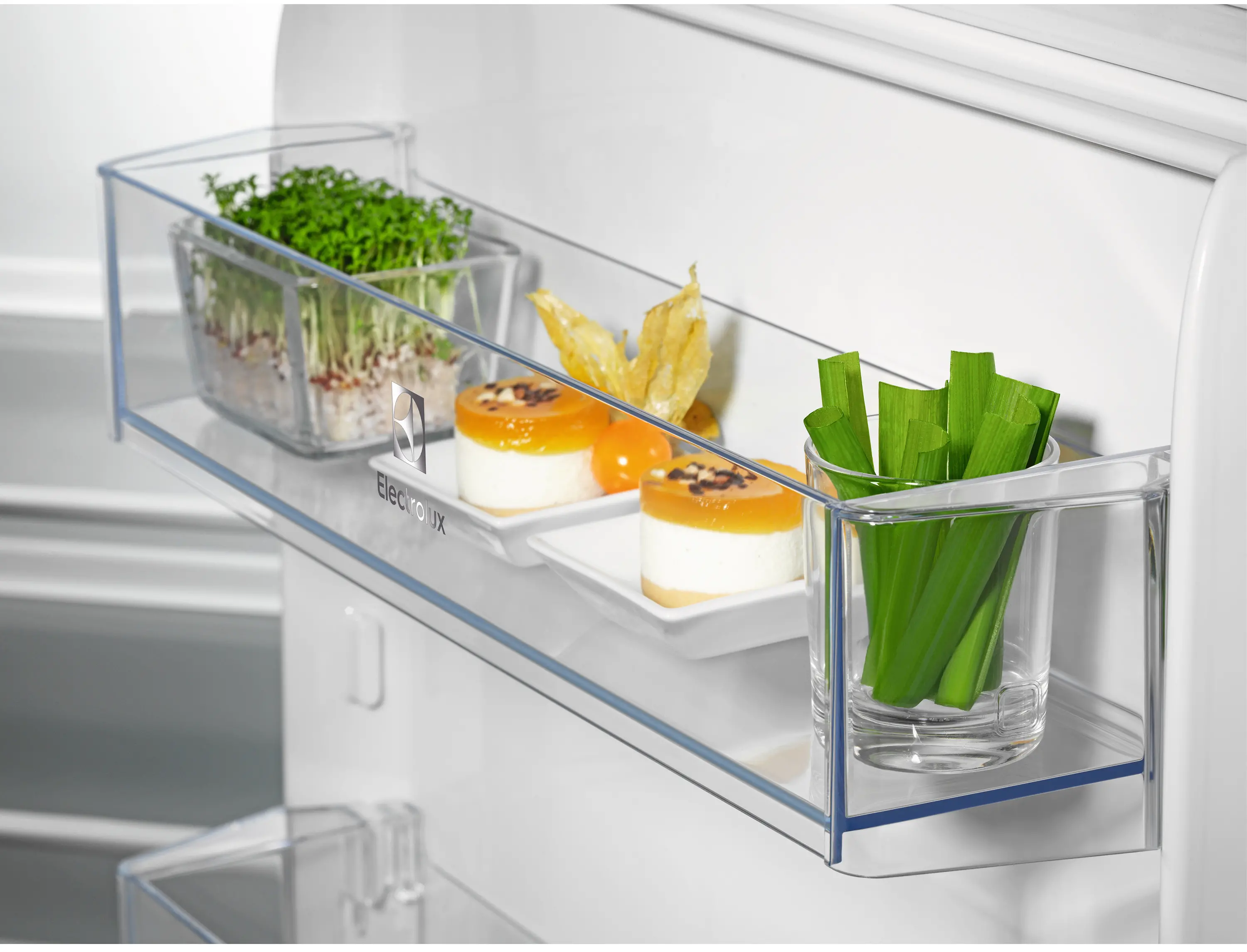 Lodówka Electrolux 600 ERD6DE18S1 177,2cm Szuflada z kontrolą wilgotności