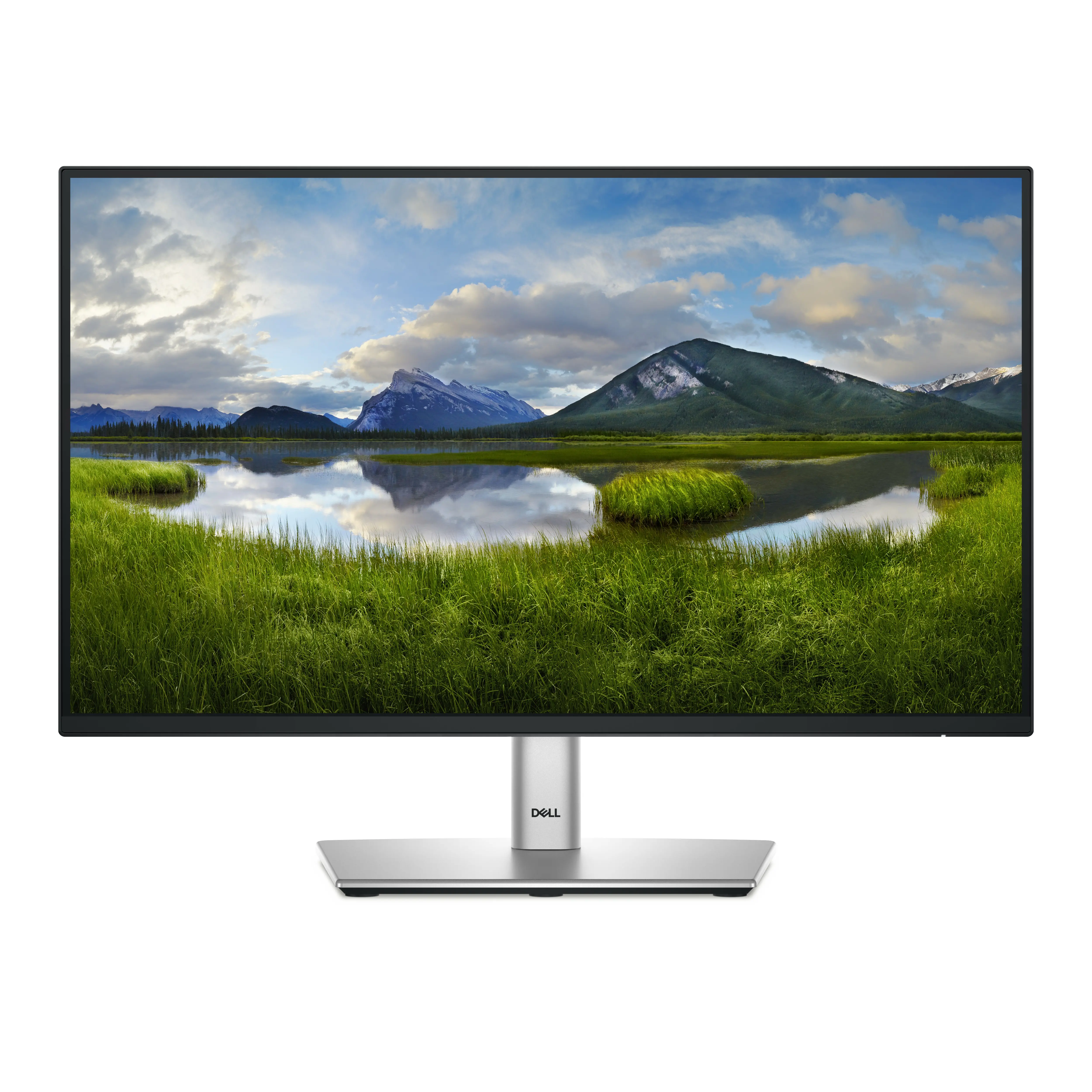 Monitor Dell P2425H 23,8" Full HD IPS 100Hz 5ms