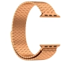 Bransoleta Bizon ze stali nierdzewnej Titanium do Apple Watch 44/45/46/49mm Różowo-złoty