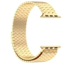 Bransoleta Bizon ze stali nierdzewnej Titanium do Apple Watch 44/45/46/49mm Złoty