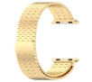 Bransoleta Bizon ze stali nierdzewnej Titanium do Apple Watch 44/45/46/49mm Złoty