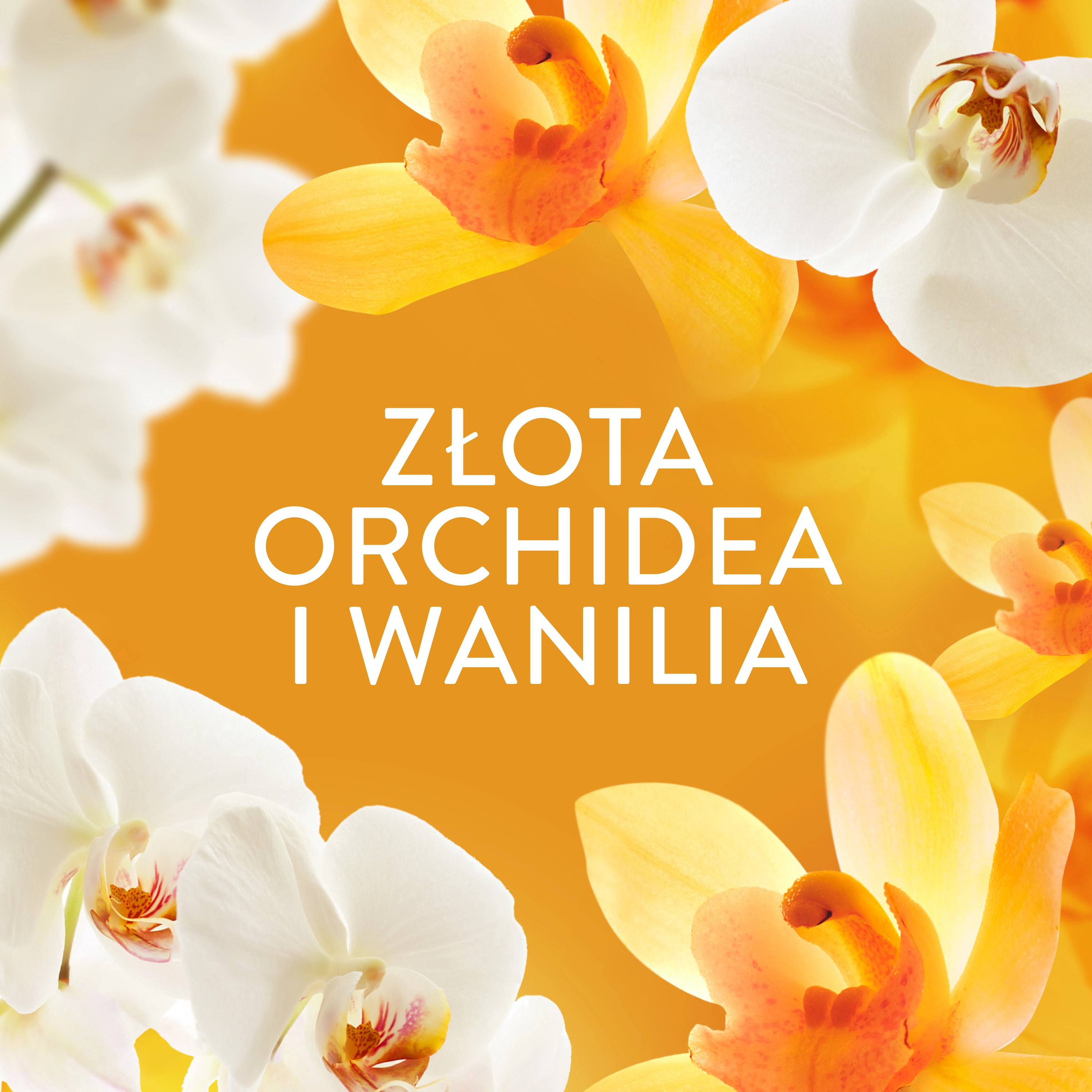 Zapach do pralki Lenor Gold Orchid & Vanilla 495g