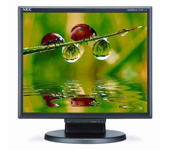 nec multisync lcd 175m