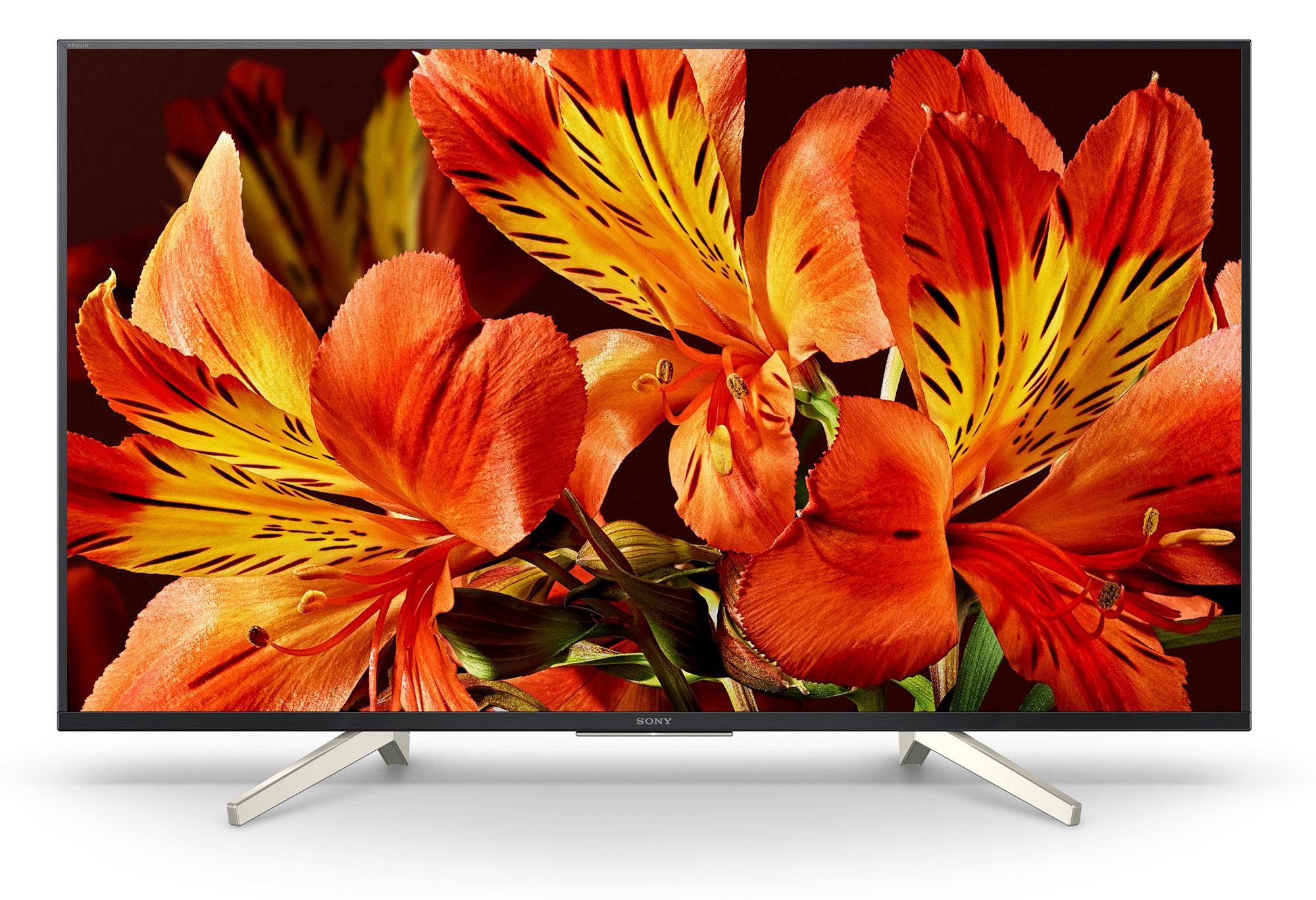 Telewizor Sony KD-65XF8505