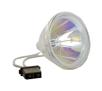 Lampa Whitenergy POA-LMP24 / 610-282-2755 09747