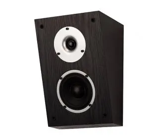 Колонки efektowe Dolby Atmos Wilson Raptor X Czarny 2 szt.