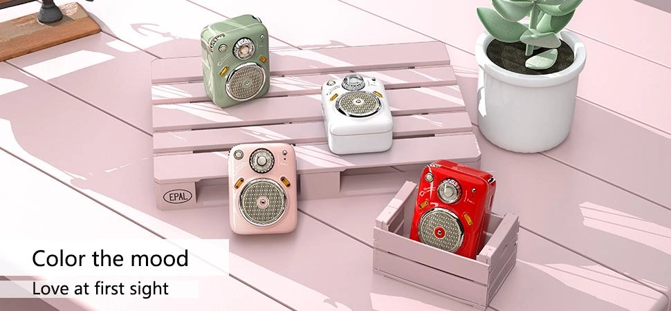 Głośnik Bluetooth Divoom Beetles-FM 4,5W Różówy